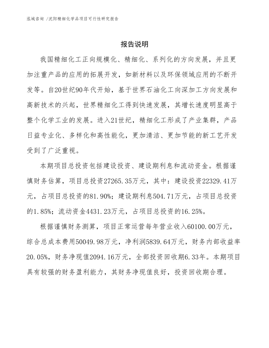 沈阳精细化学品项目可行性研究报告_第2页